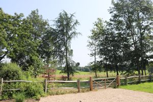Photo 19- click for photo gallery